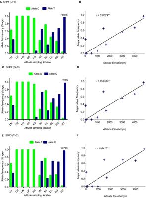 Sequence Characterization of DSG3 Gene to Know Its Role in High-Altitude Hypoxia Adaptation in the Chinese Cashmere Goat